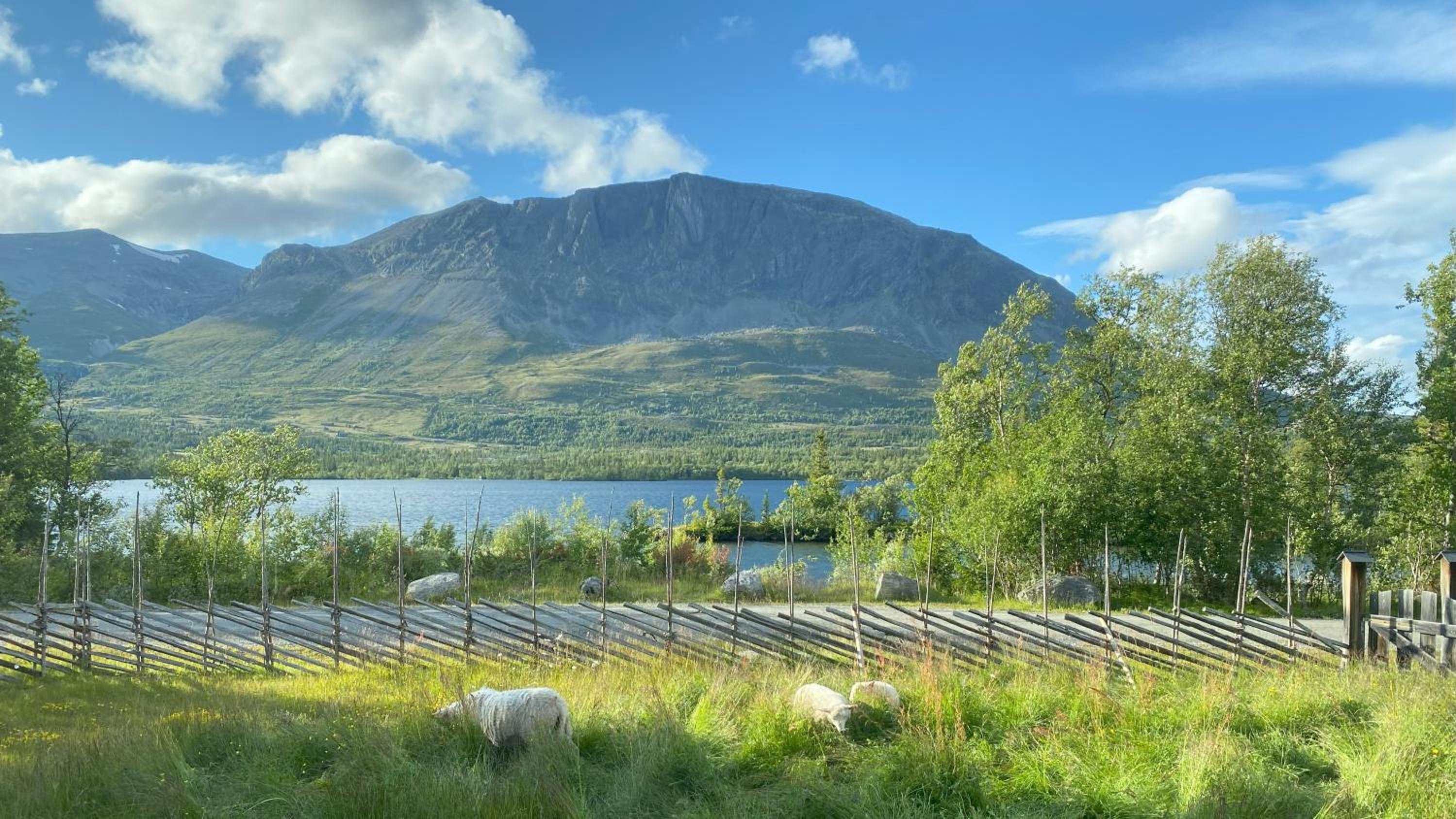 Peaceful mountain cabin in Hemsedal view 5