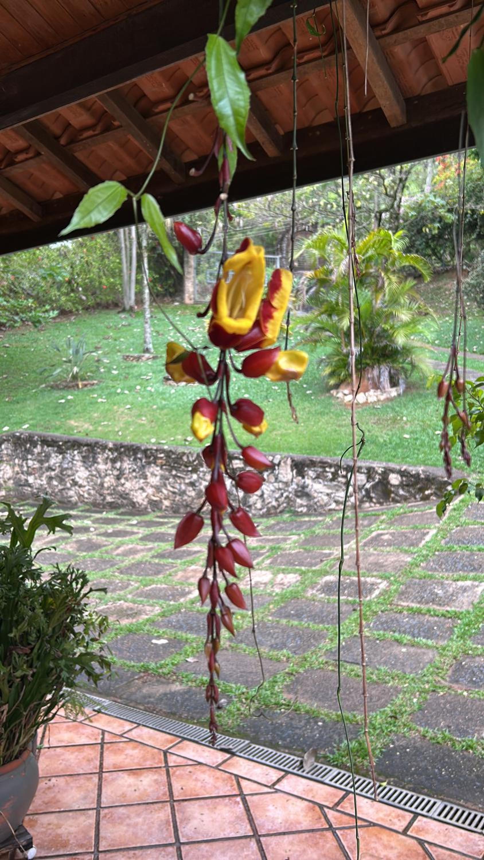 Casa de Campo Condomínio Serra Negra