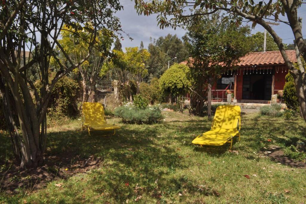 FLOR DEL CAMPO - Casa de Campo