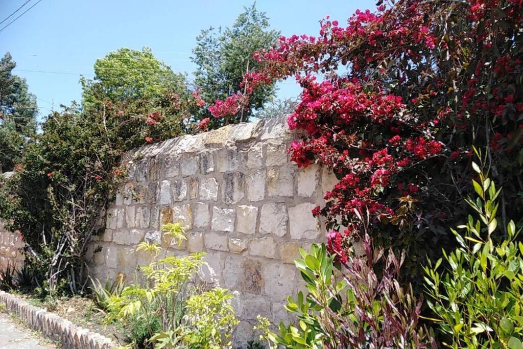 FLOR DEL CAMPO - Casa de Campo