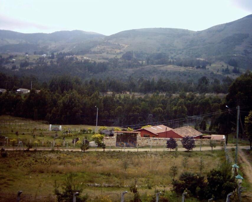 FLOR DEL CAMPO - Casa de Campo