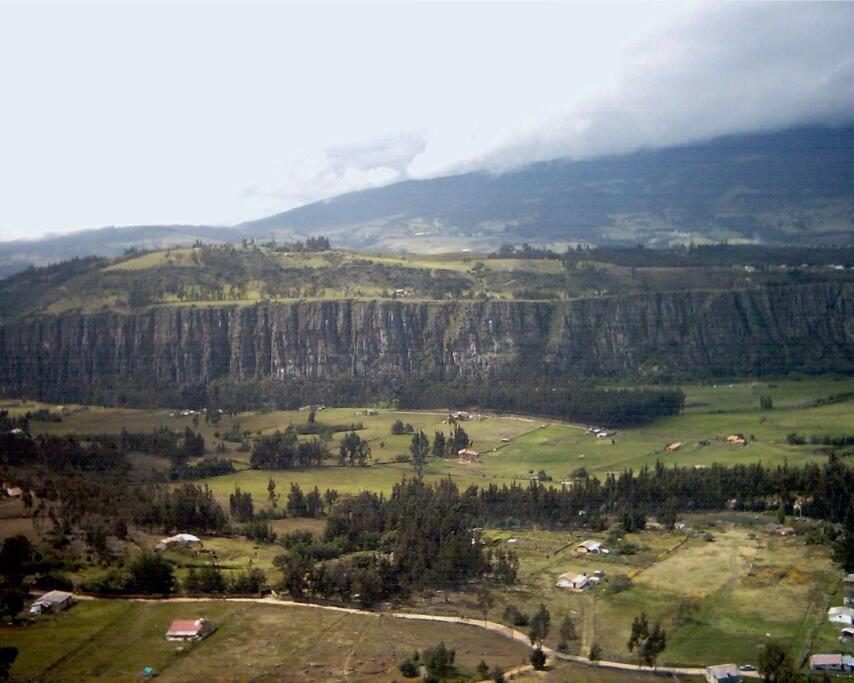 FLOR DEL CAMPO - Casa de Campo