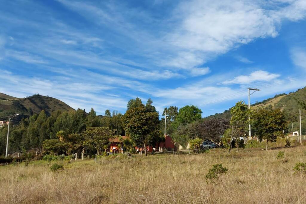 FLOR DEL CAMPO - Casa de Campo