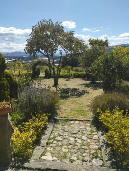 FLOR DEL CAMPO - Casa de Campo