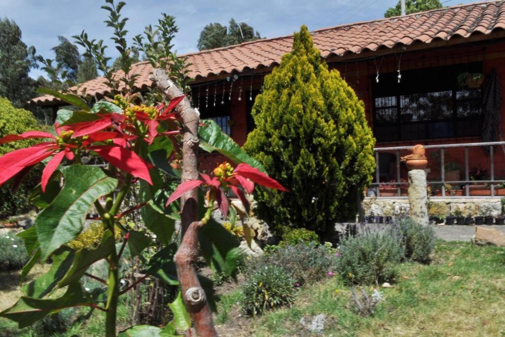 FLOR DEL CAMPO - Casa de Campo