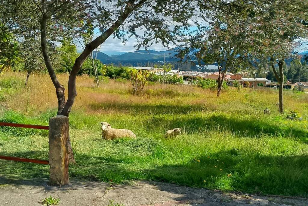 FLOR DEL CAMPO - Casa de Campo