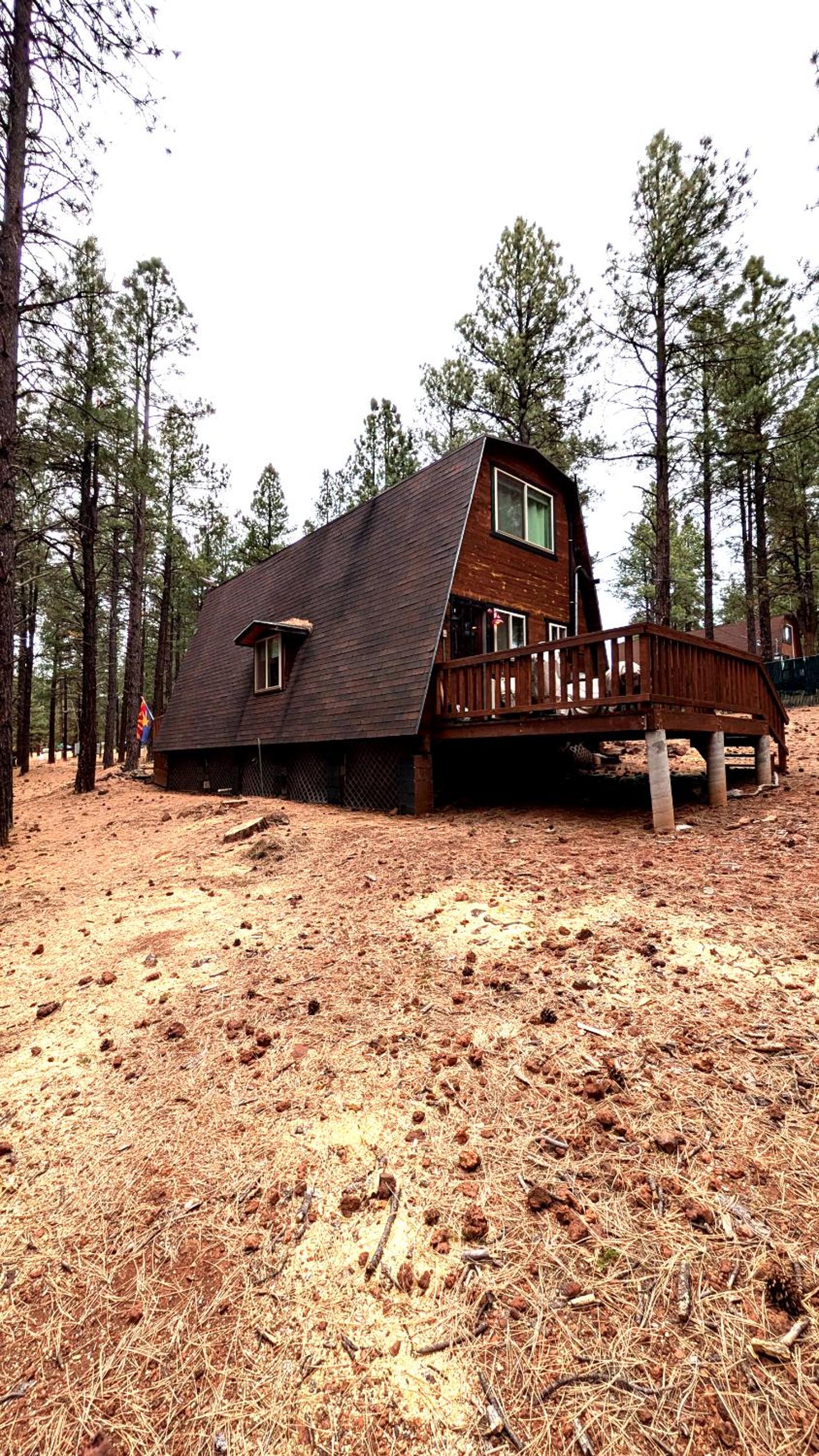 Grand Canyon Gateway Cabin with 1 Acre Pine Retreat near Rt 66 view 5