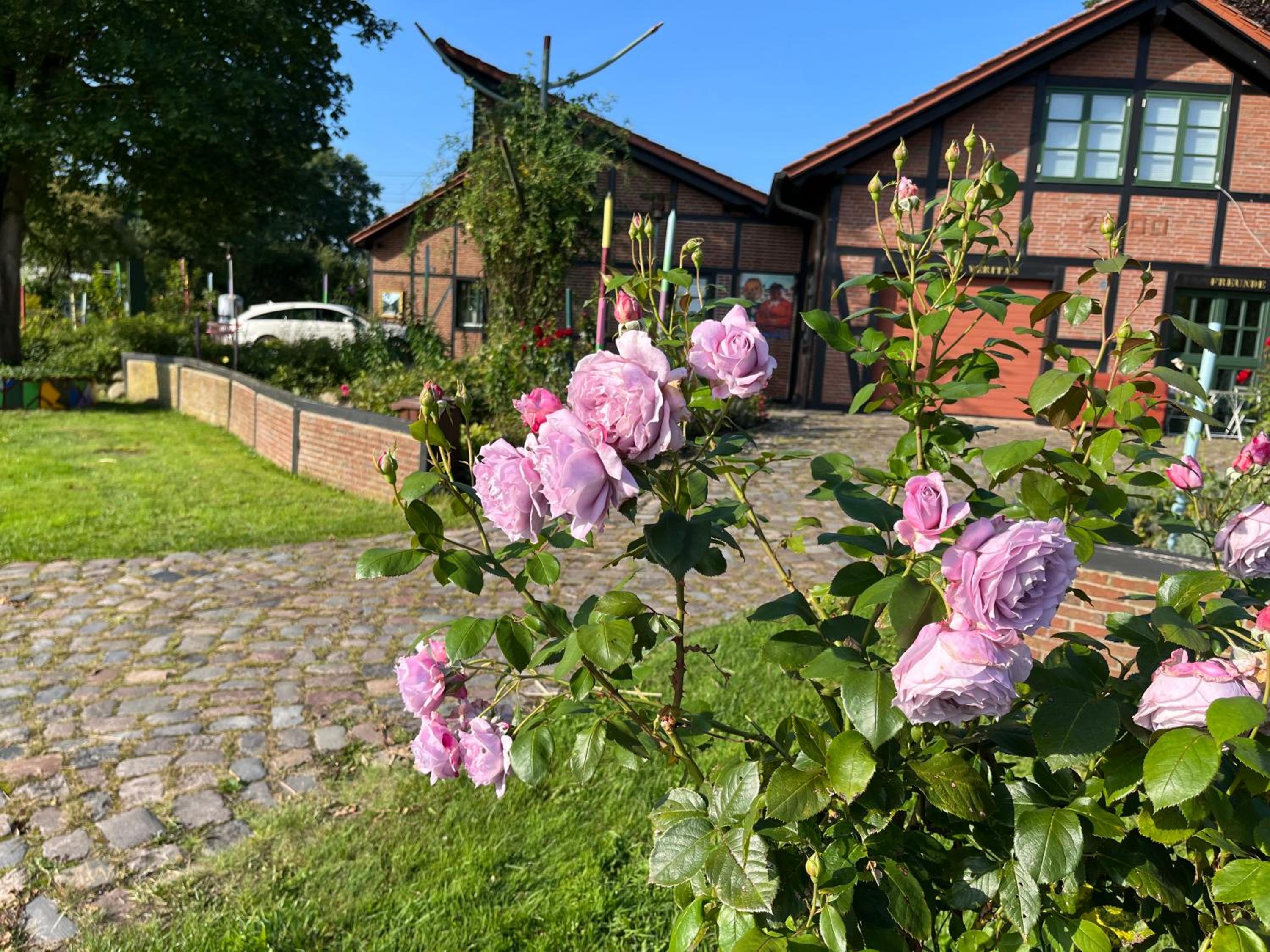 Rosenkate - Komfort für Profis