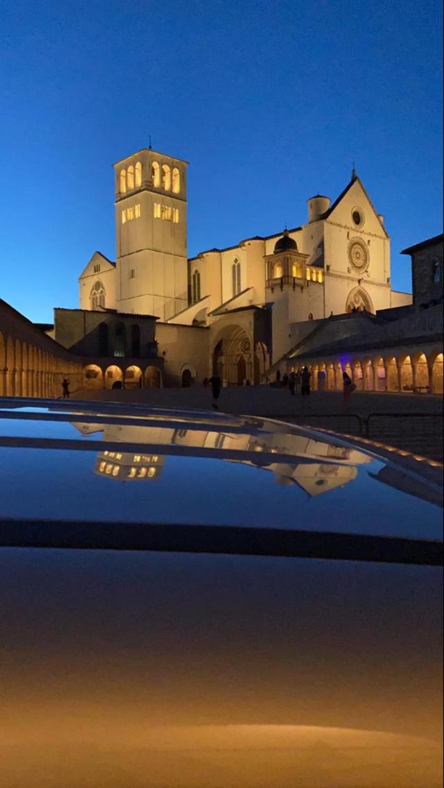 Photo 41