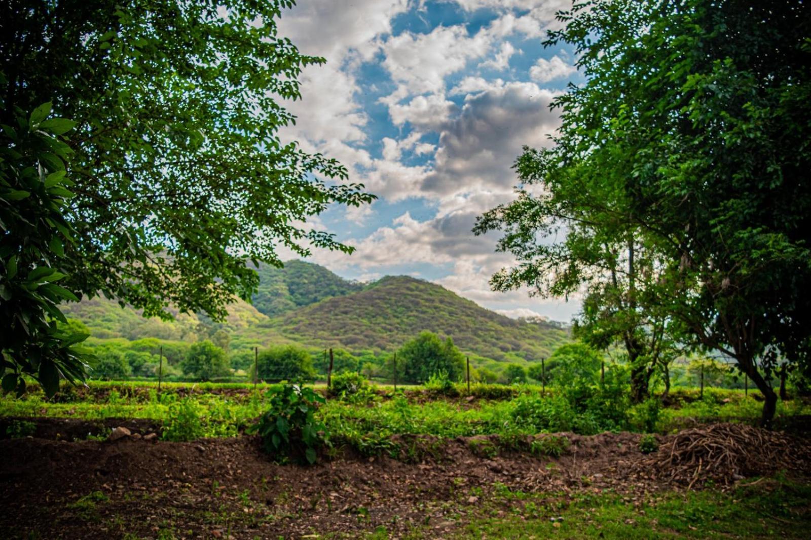 Cabañas 2Tierras