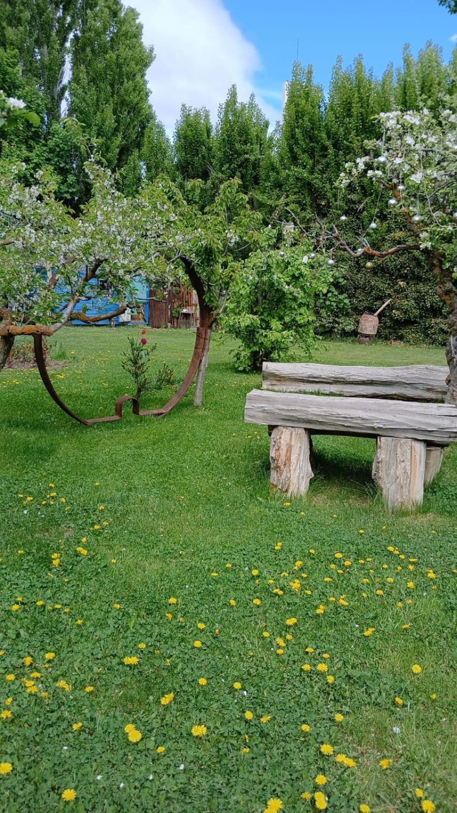 Rooms calafate viejo
