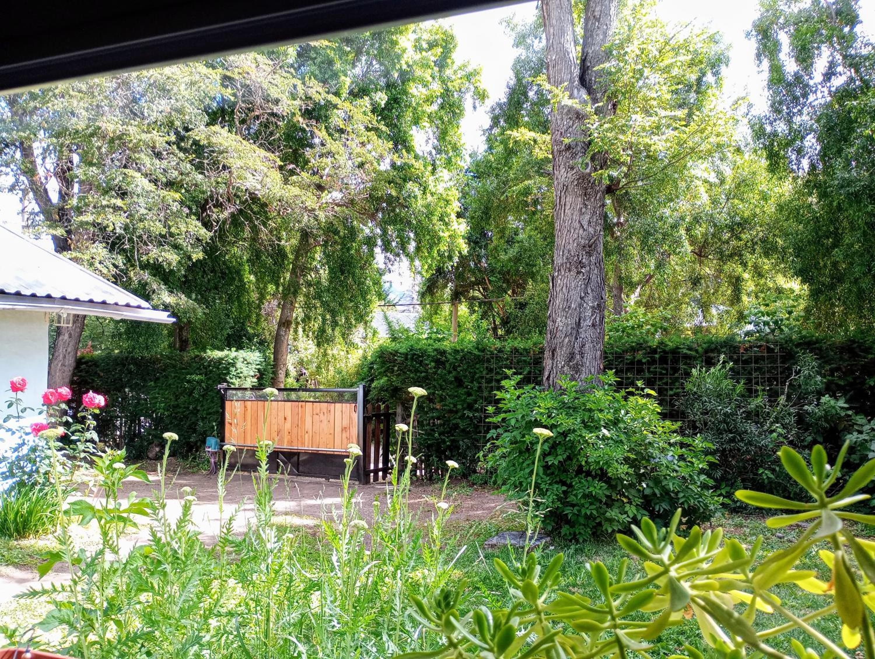 Amancay entre Lagos & Bosques