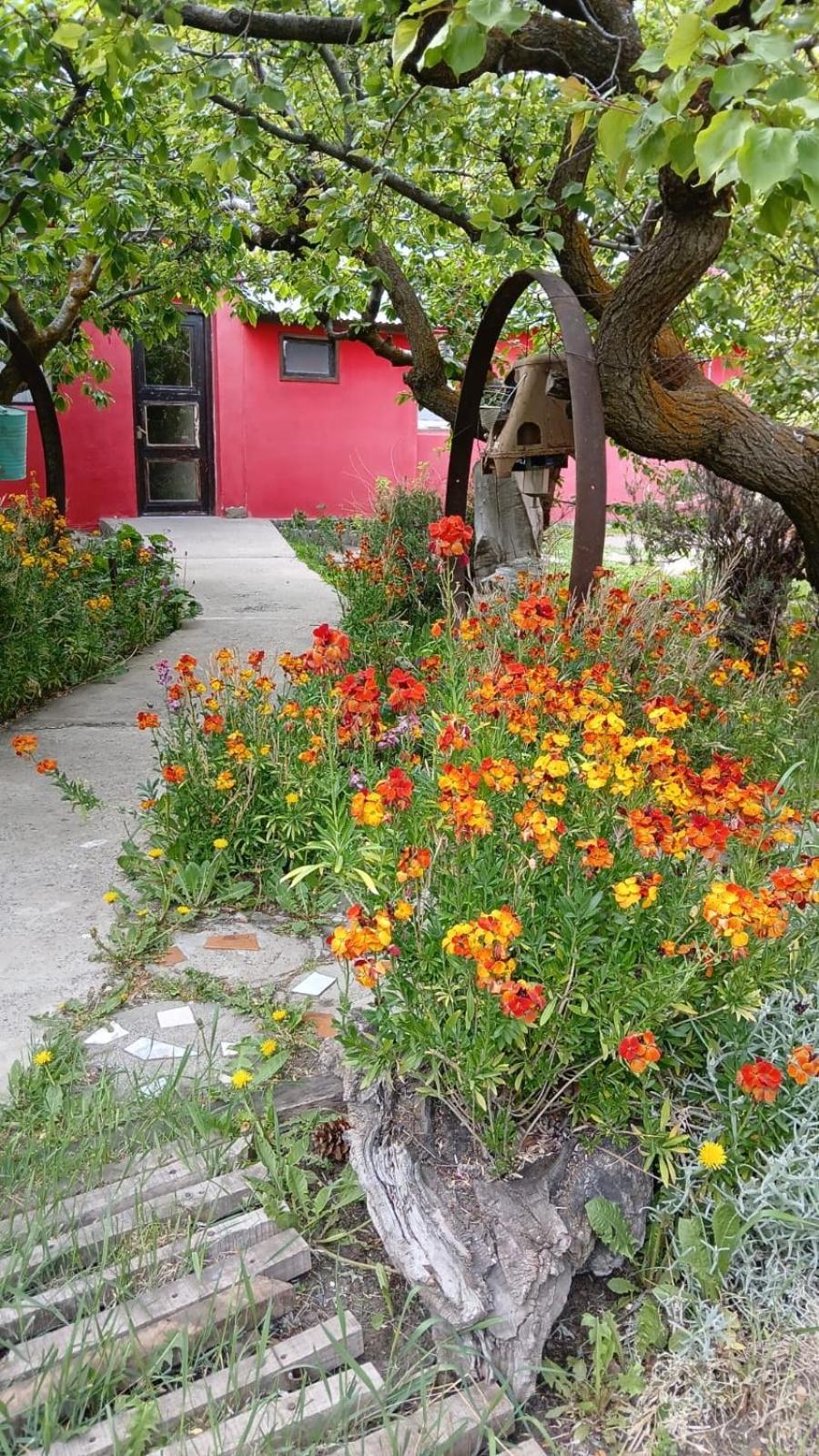 Rooms calafate viejo