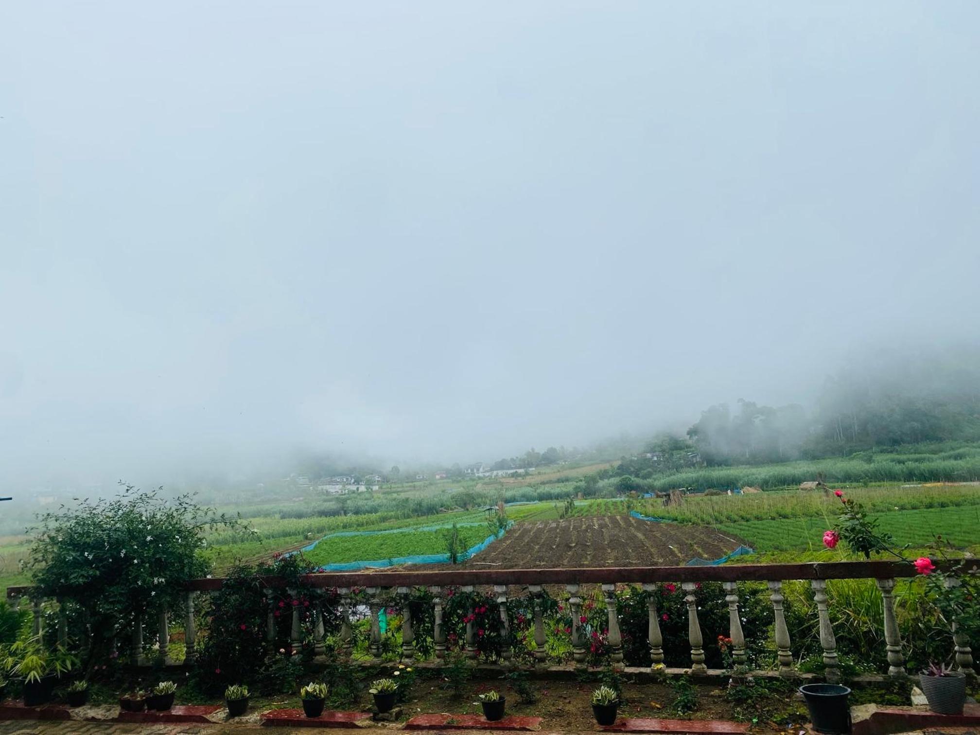 Ceylon Shadow view 2