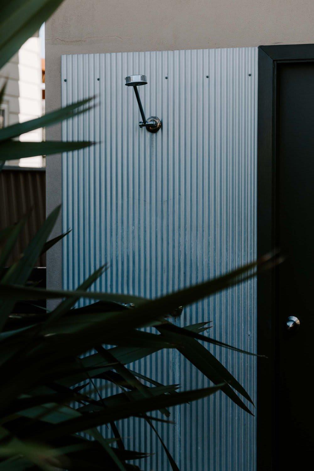 The Agave