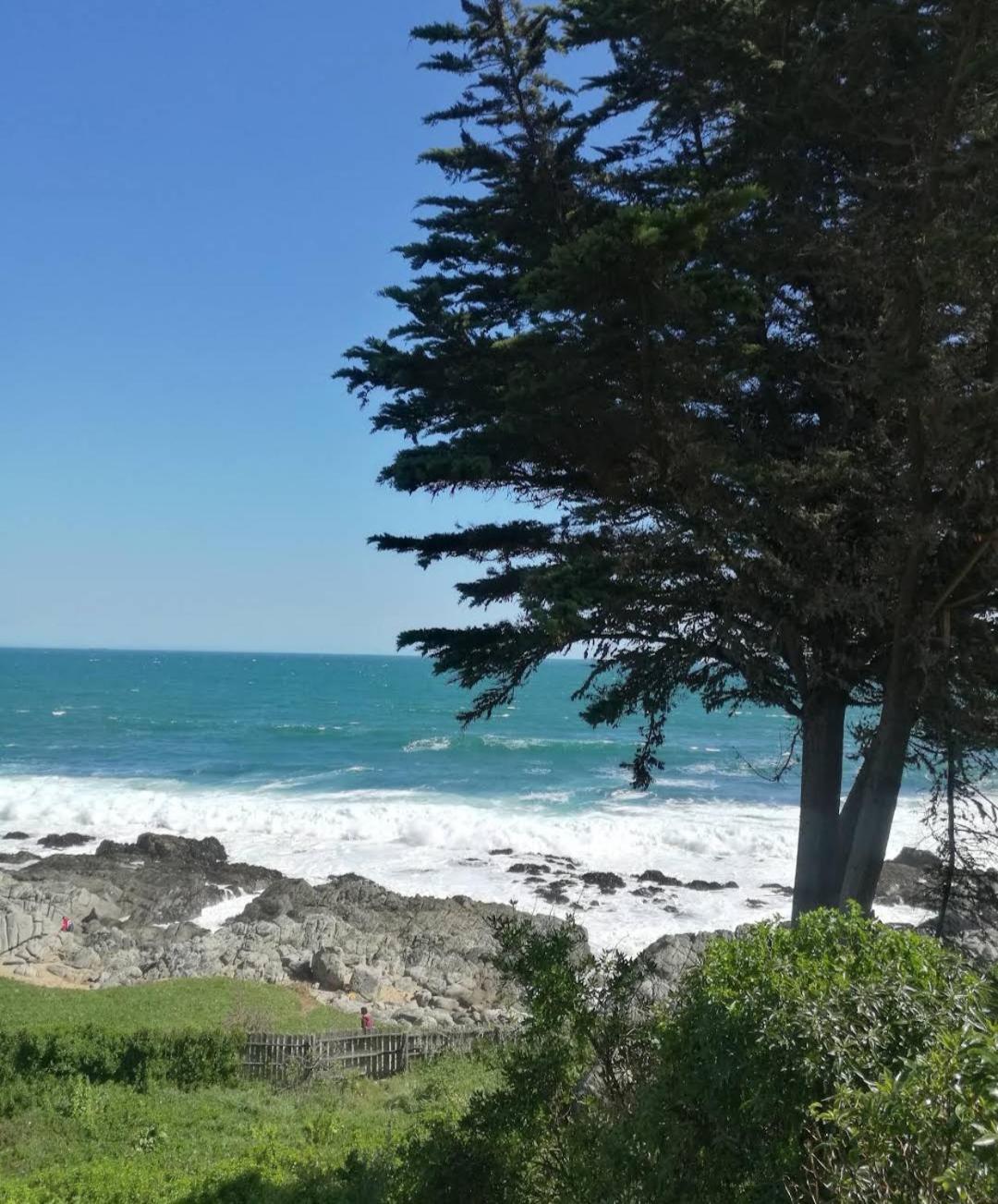 Cabañas en Punta de Tralca