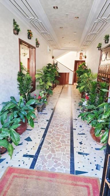 Appartement PROPRE au centre de Tanger