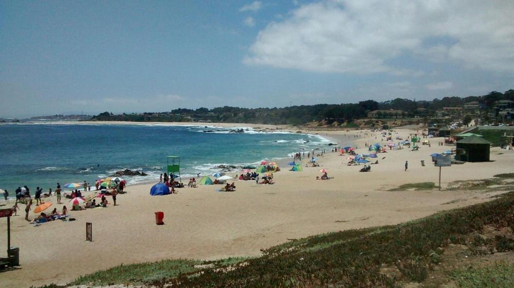 Cabañas en Punta de Tralca