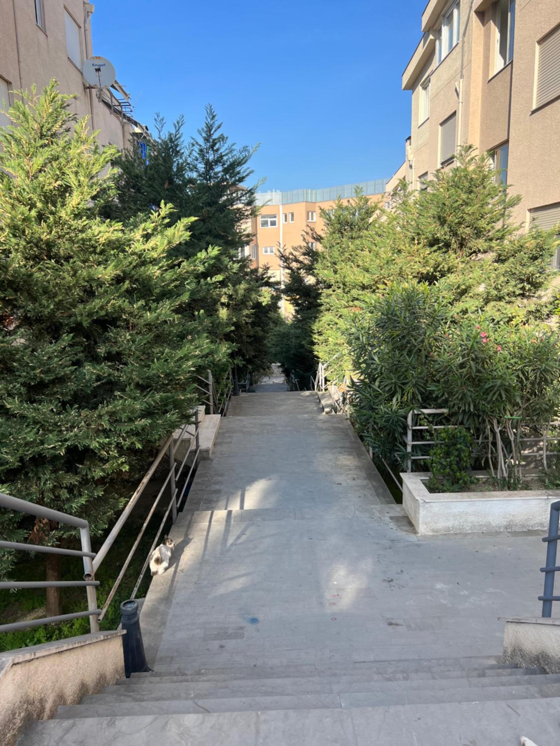 Lake View Apartment Tirana