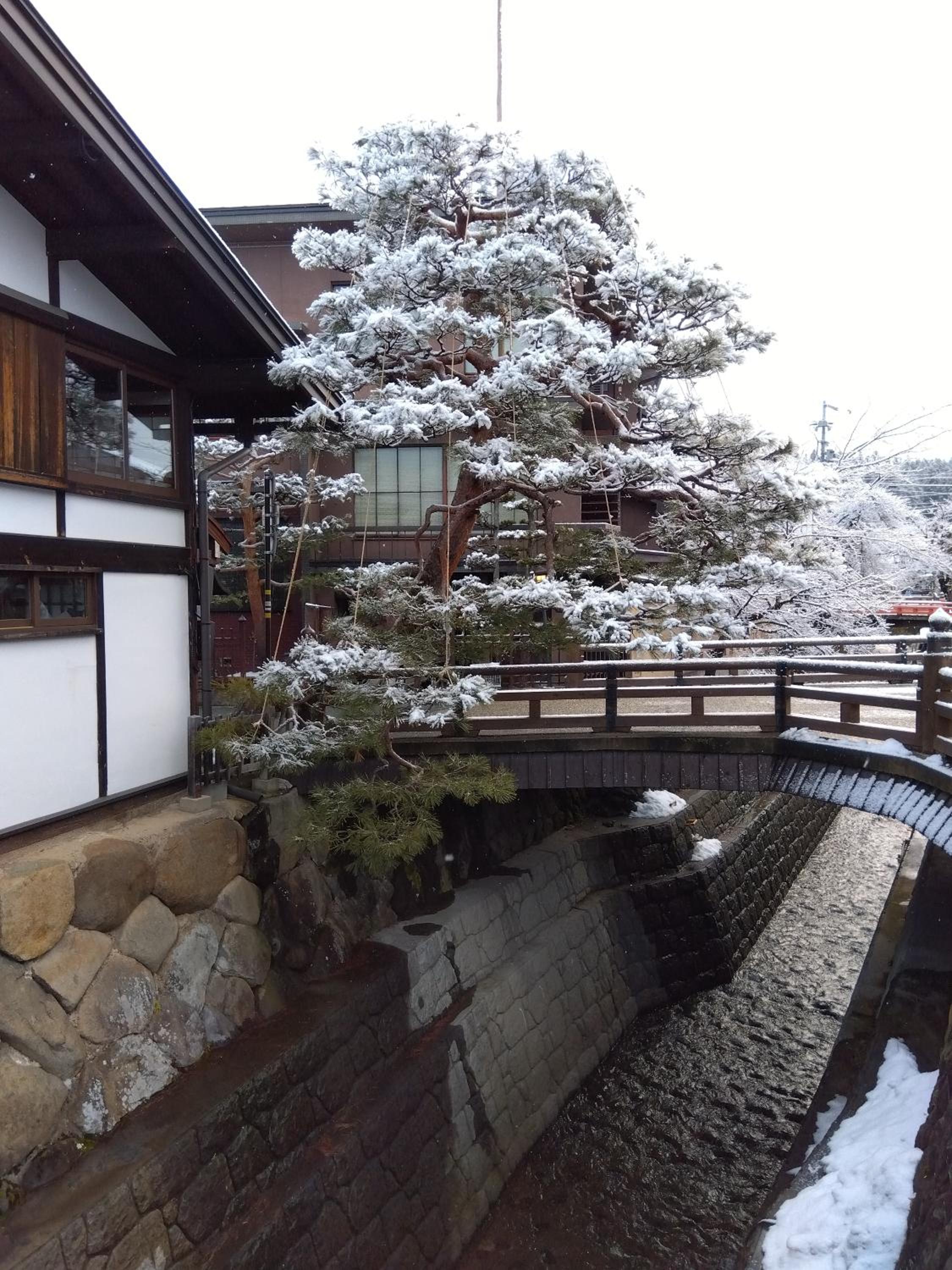 Daihachi