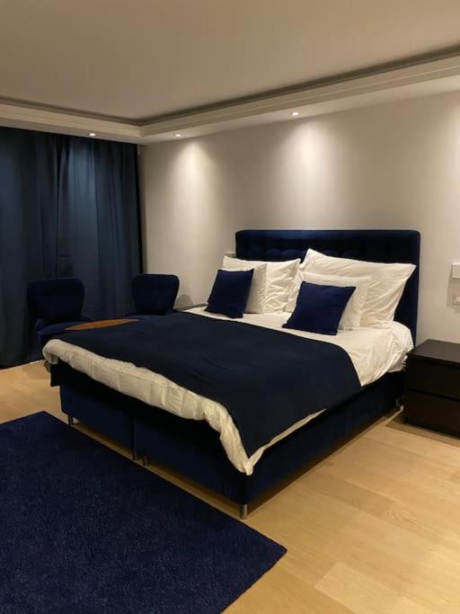 Luxueux studio aux Eaux-Vives