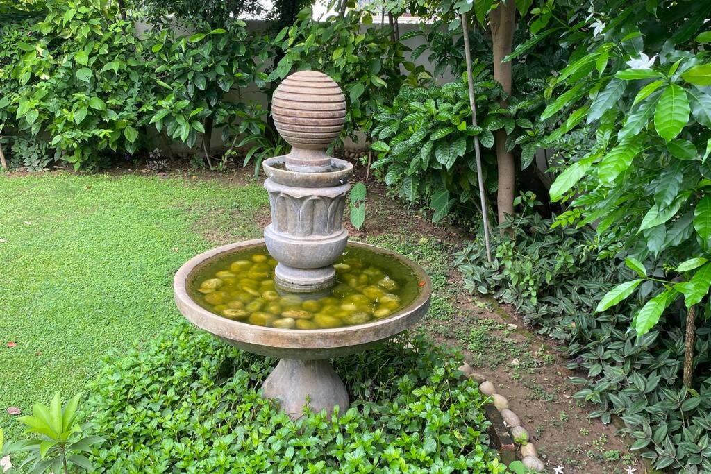 Villa with tropical garden view 2