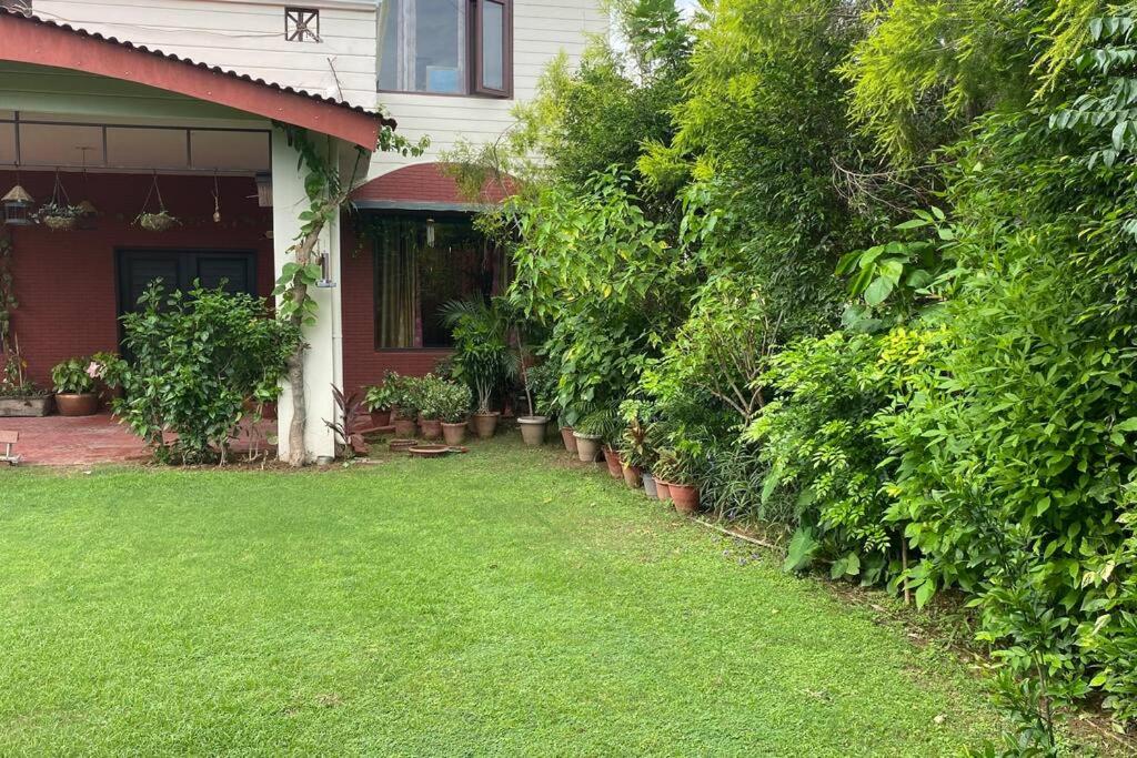Villa with tropical garden view 3