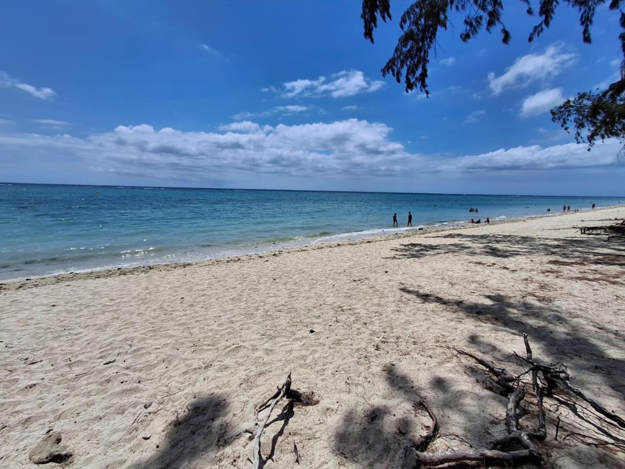 Beachfront Villa 4 bedrooms - Direct Ocean Access Sunset Views