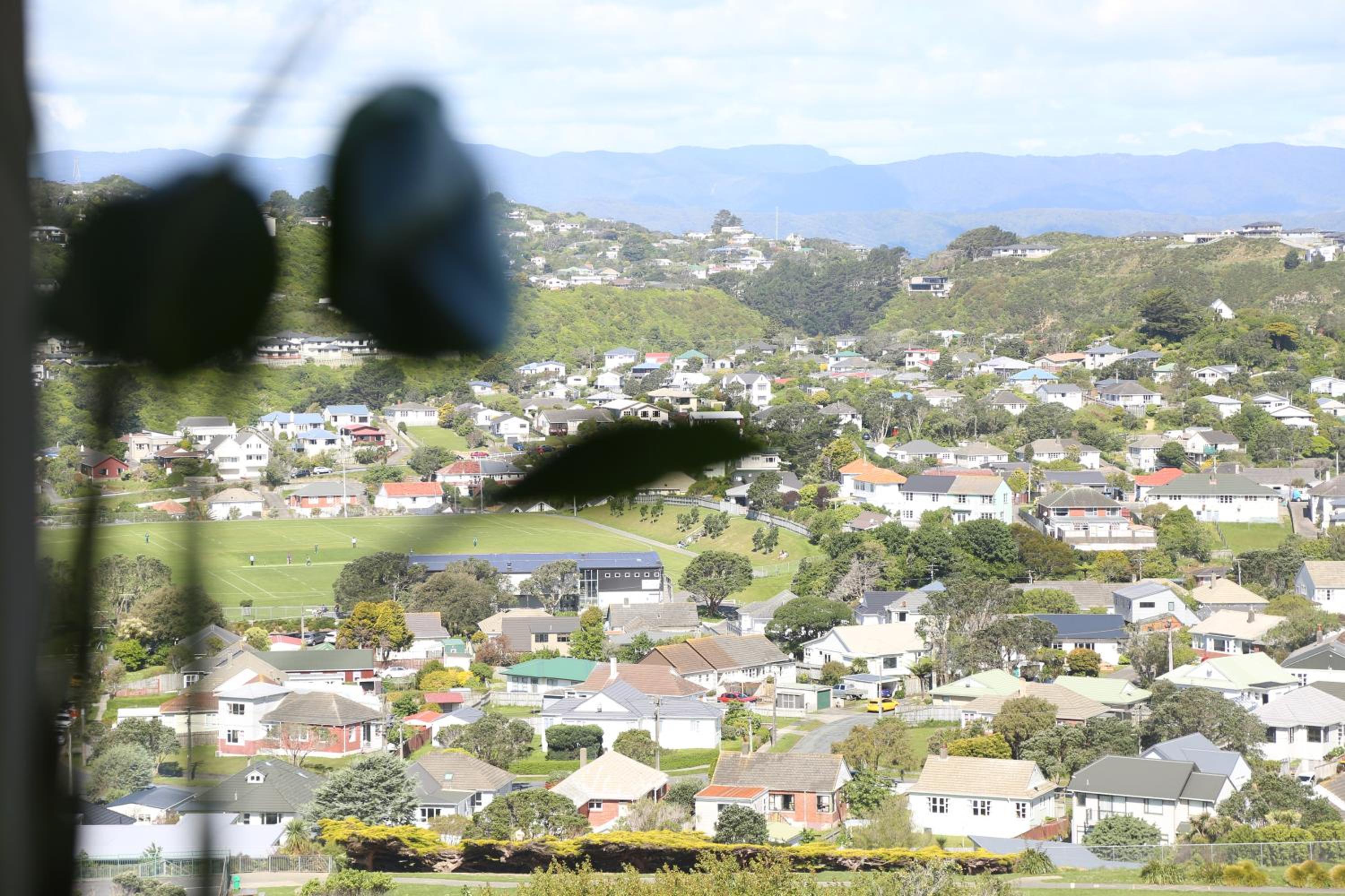 Skyline Vista - Entirely New House with Luxe Views, Espresso, Netflix & Free Parking view 5