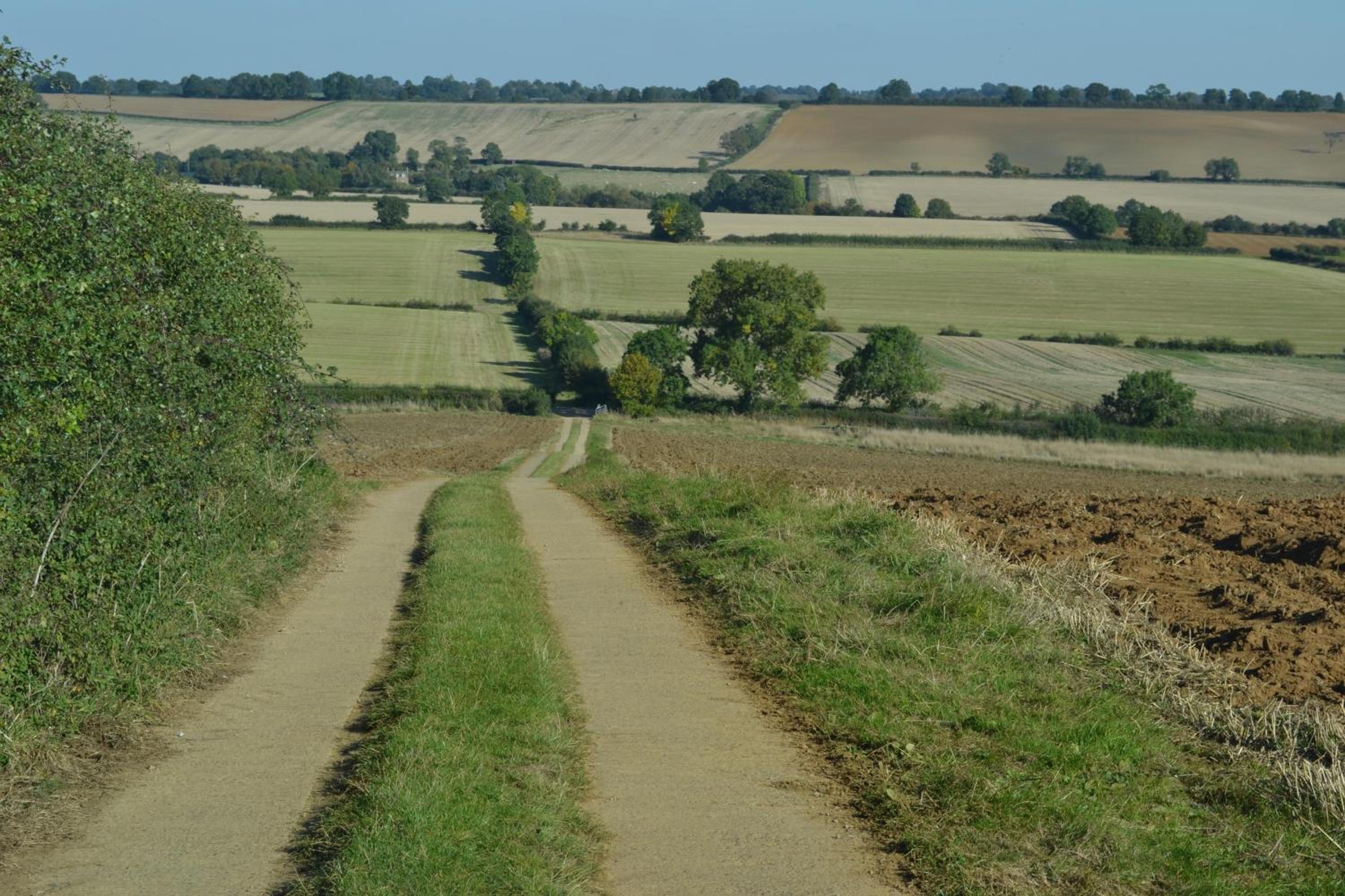 Photo 27
