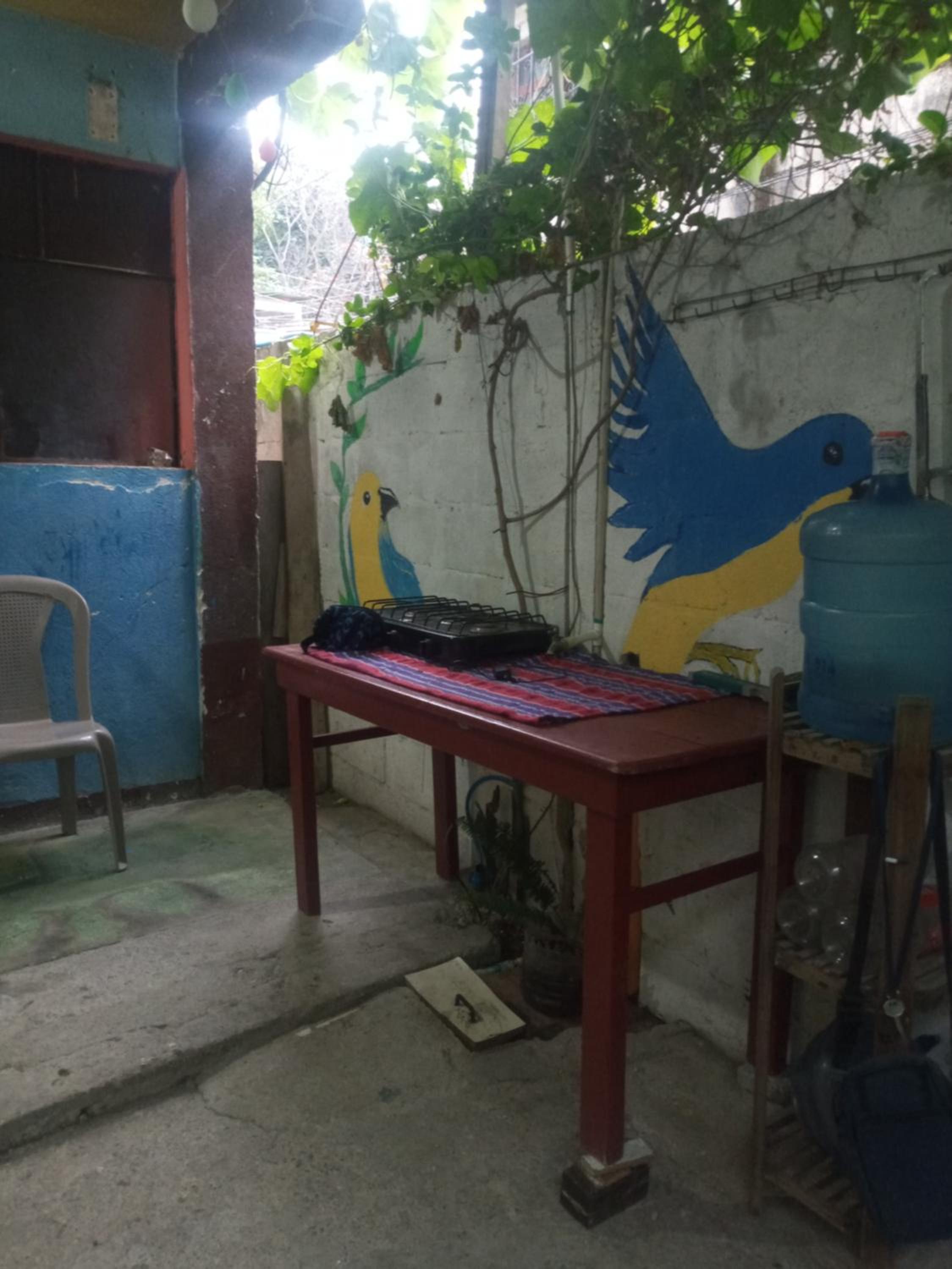 Hostal the Cats view 4