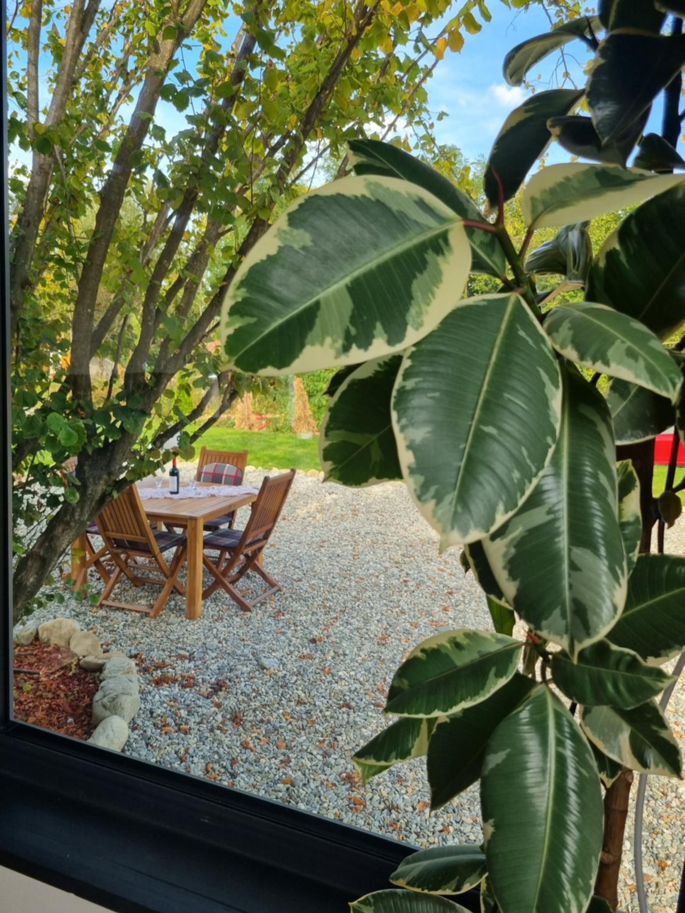Api Haus view 3