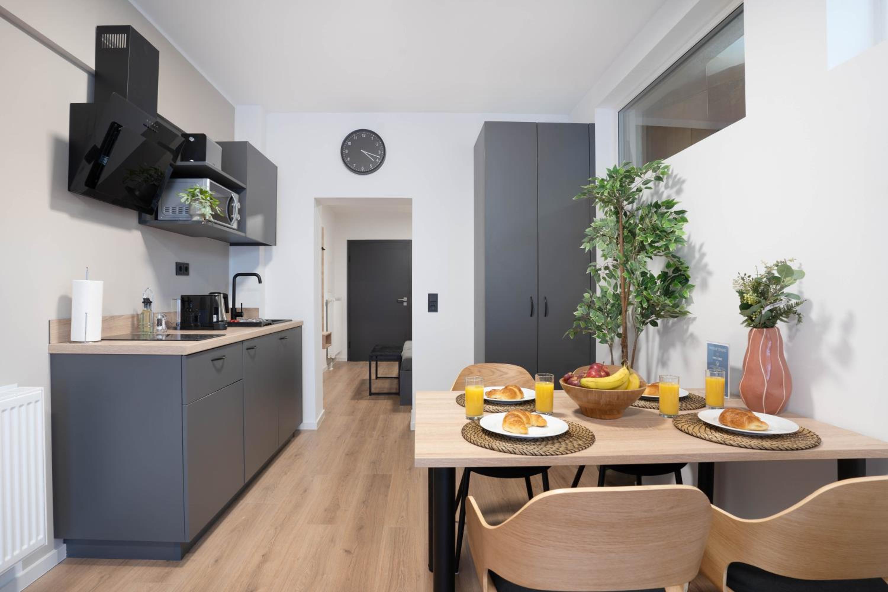 Central Bonn Apartments I home2share