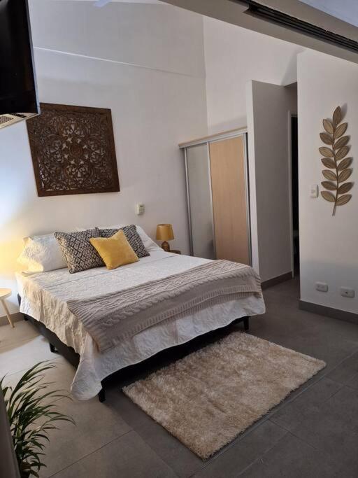 Lindo y céntrico apartamento en Santa Ana