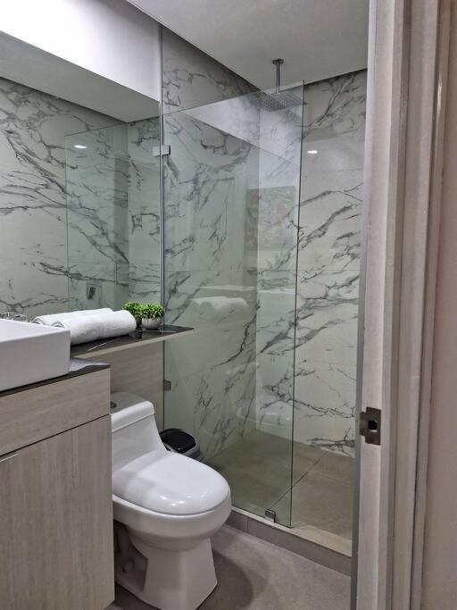Lindo y céntrico apartamento en Santa Ana