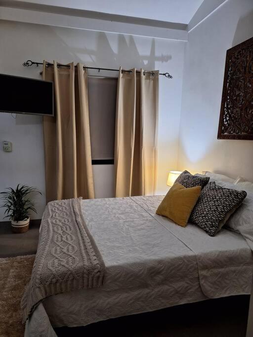 Lindo y céntrico apartamento en Santa Ana