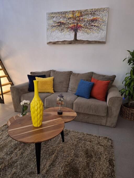 Lindo y céntrico apartamento en Santa Ana