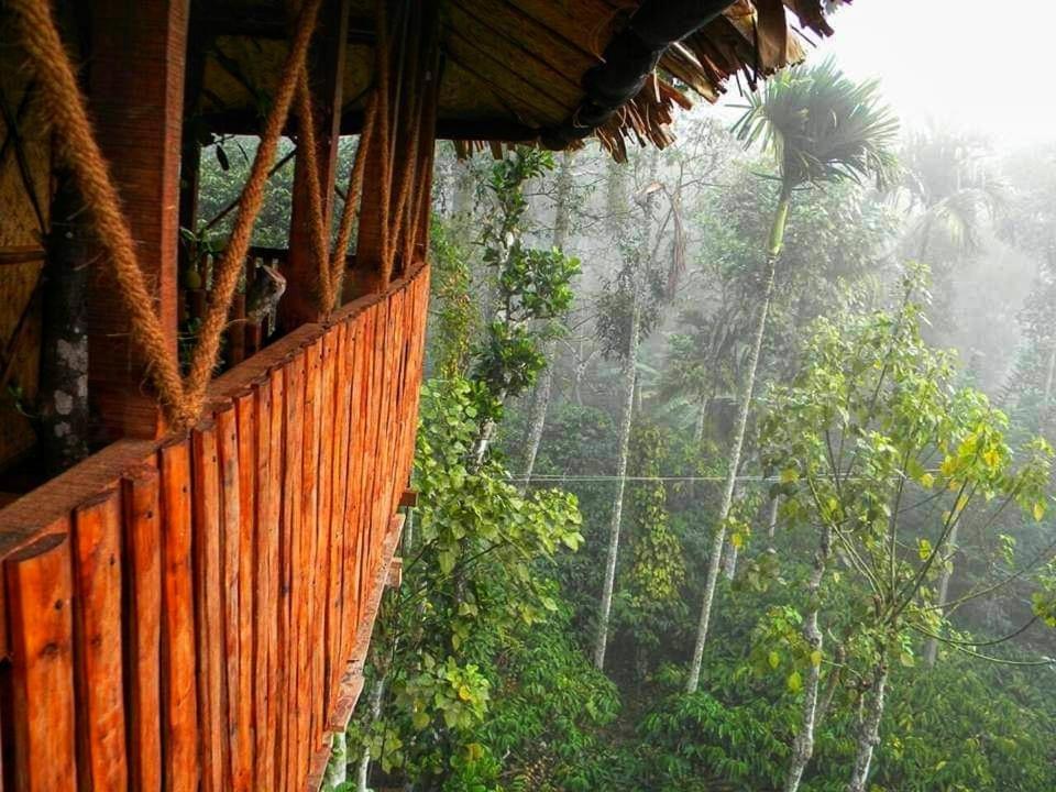 Greens Tree House & Wood House
