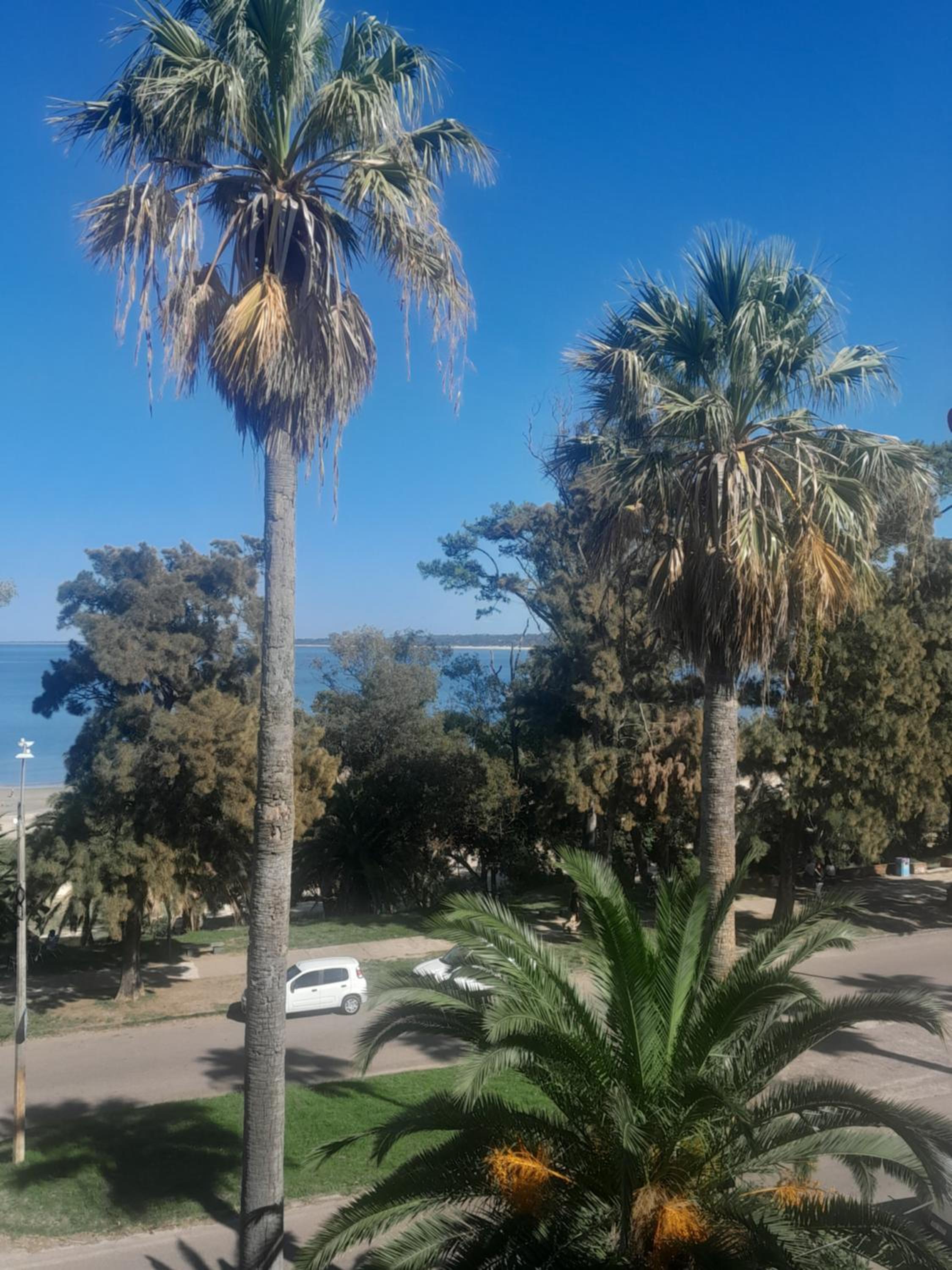 Apartamento frente al mar