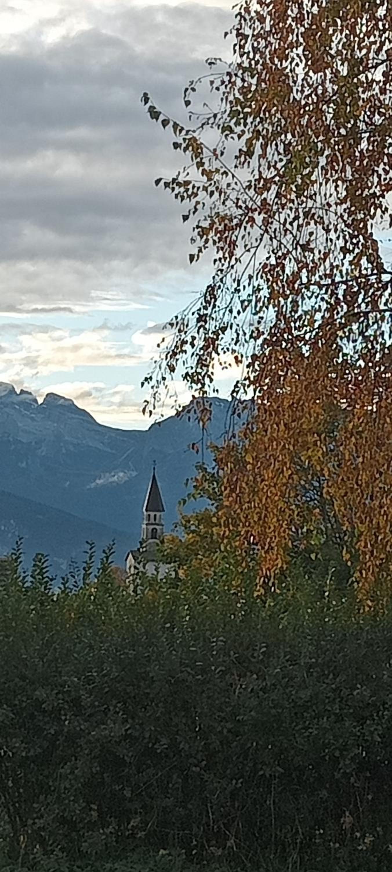 Photo 36