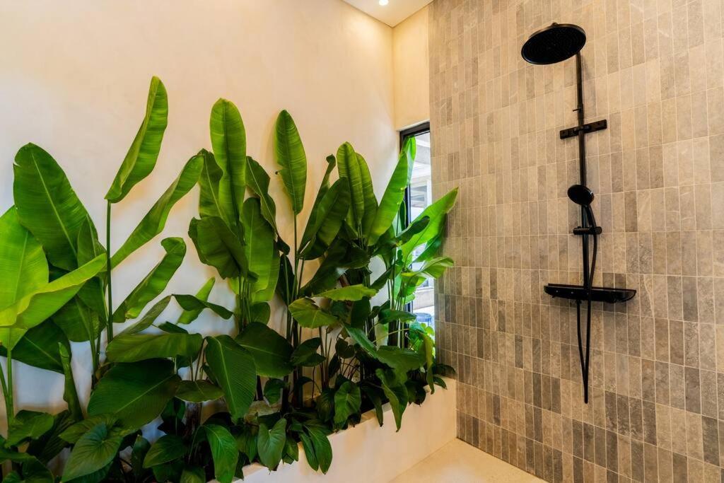 Villa Balijero by Pertama Management
