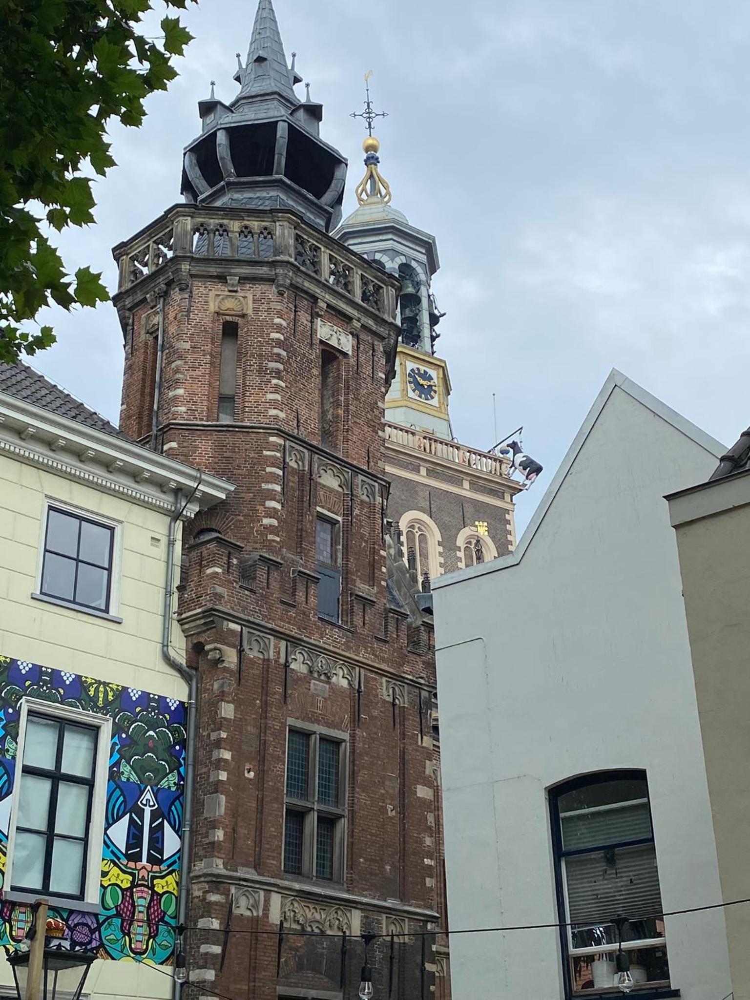 Photo 47