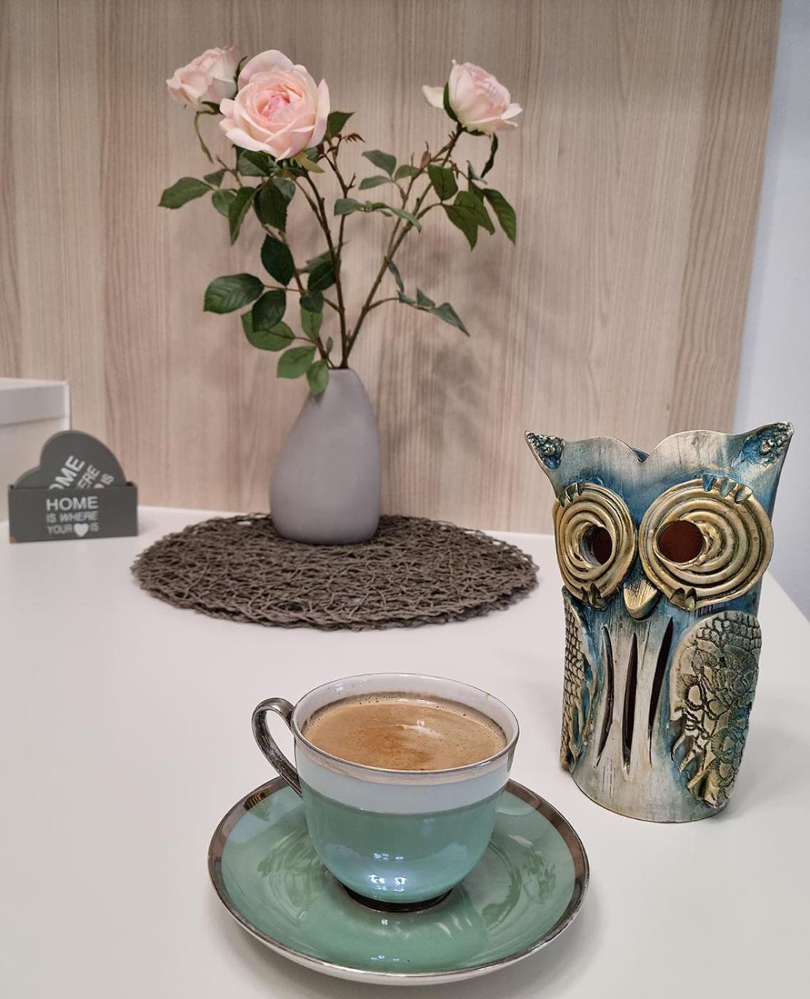 Apartmány MÚDRA SOVA