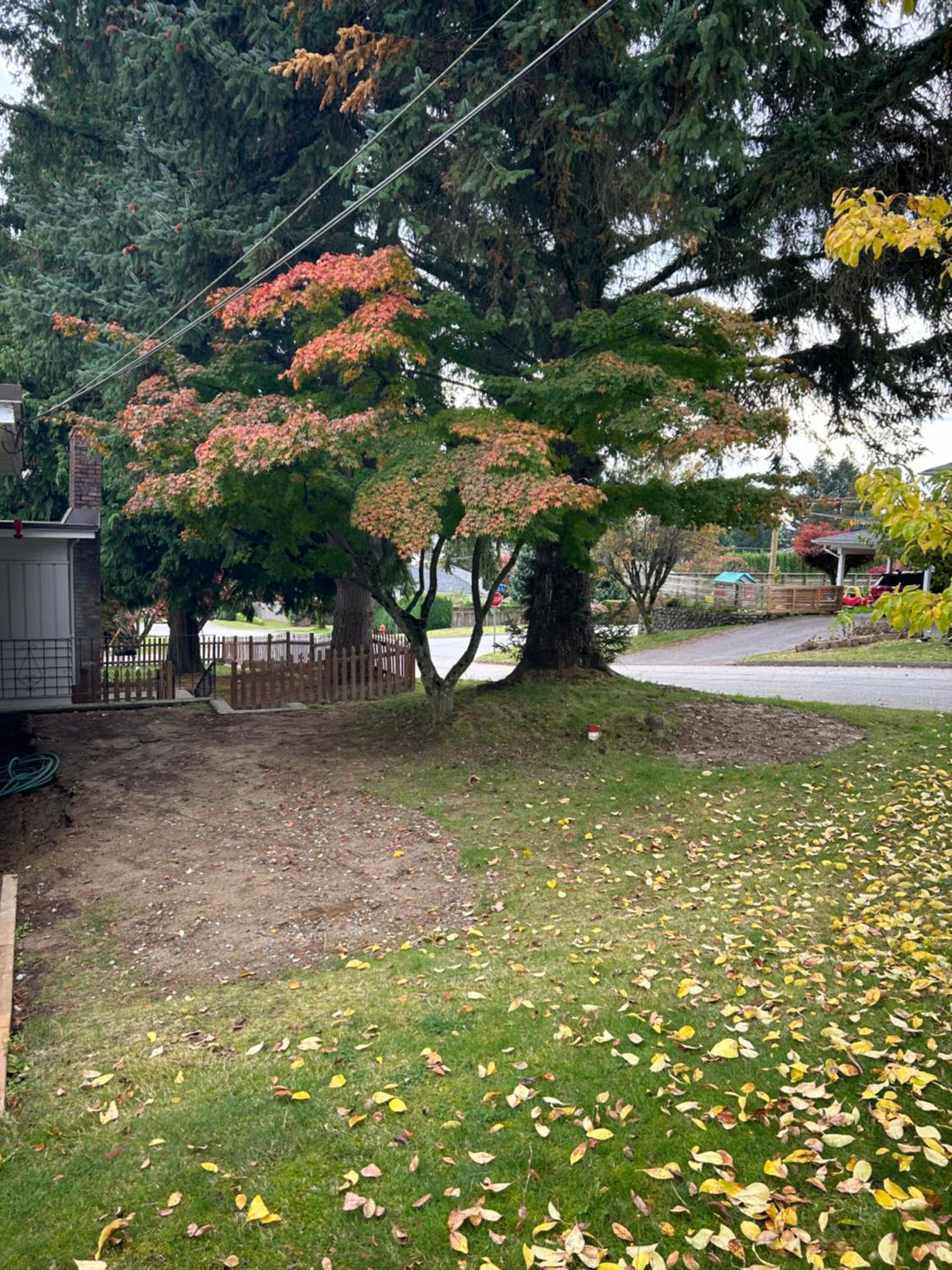 Cozy home near Grand Blvd Park