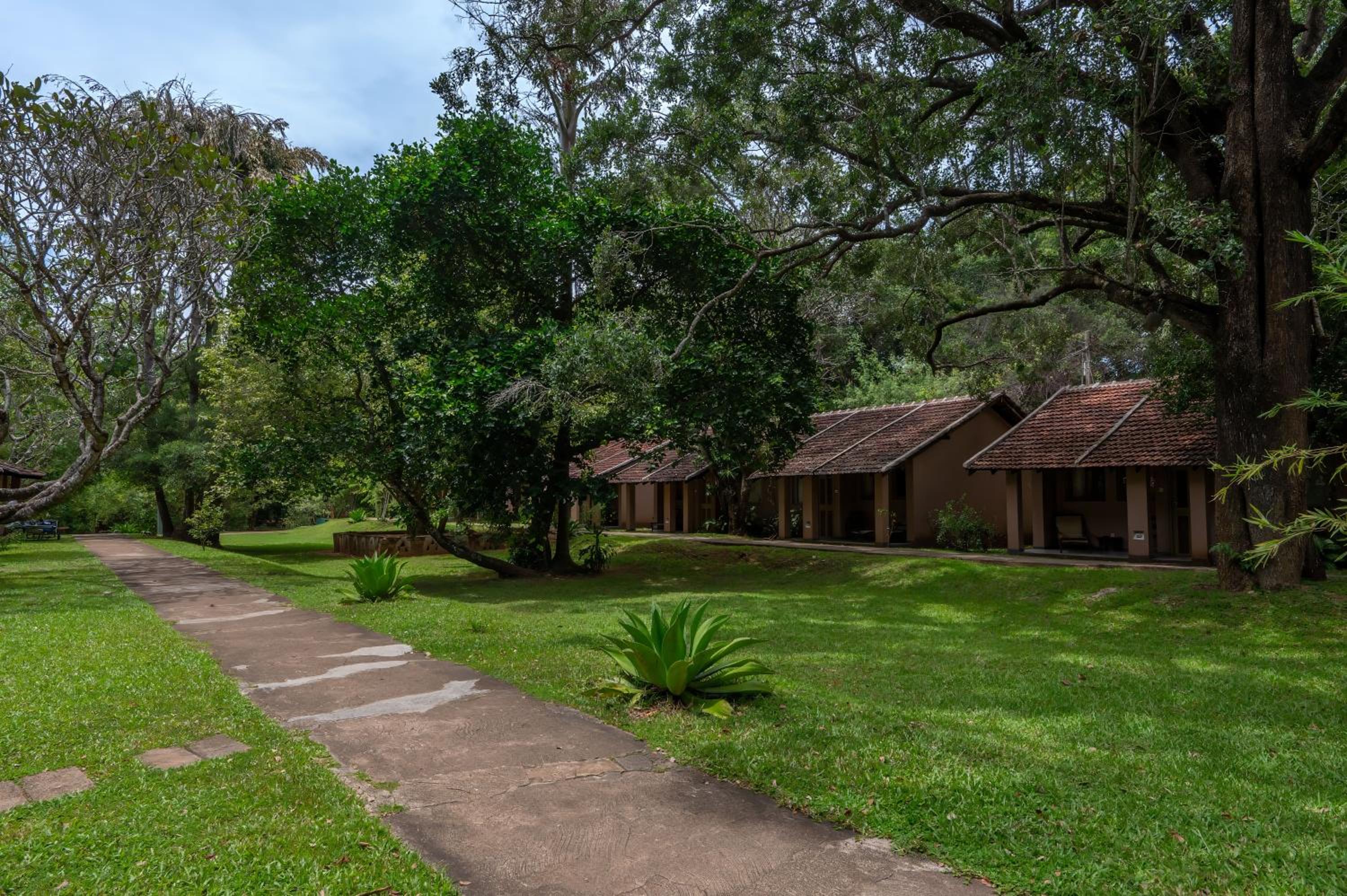 Sigiriya Village