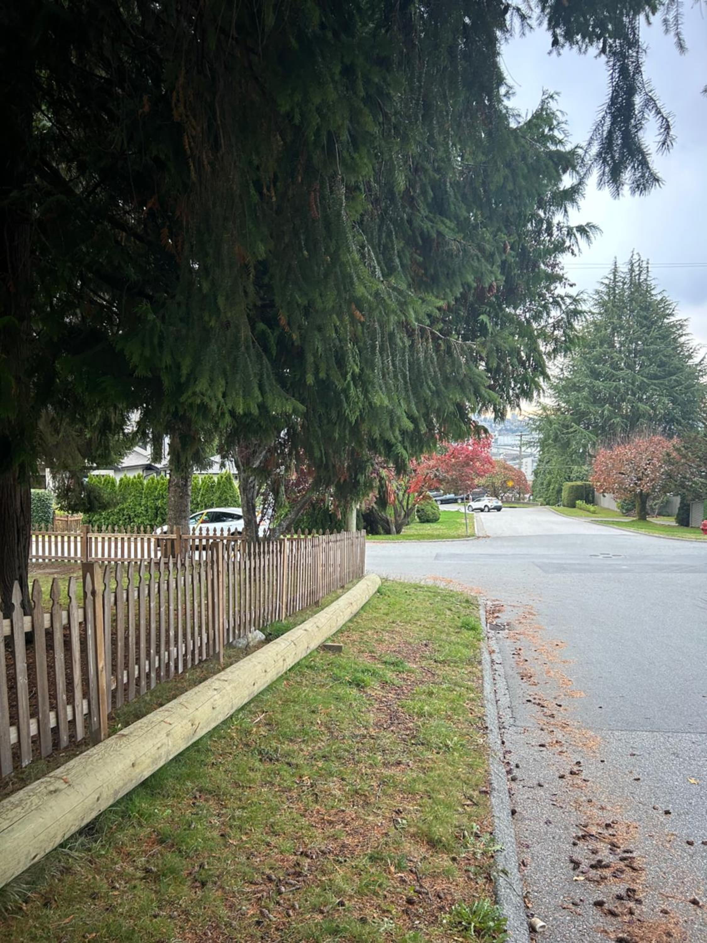 Cozy home near Grand Blvd Park