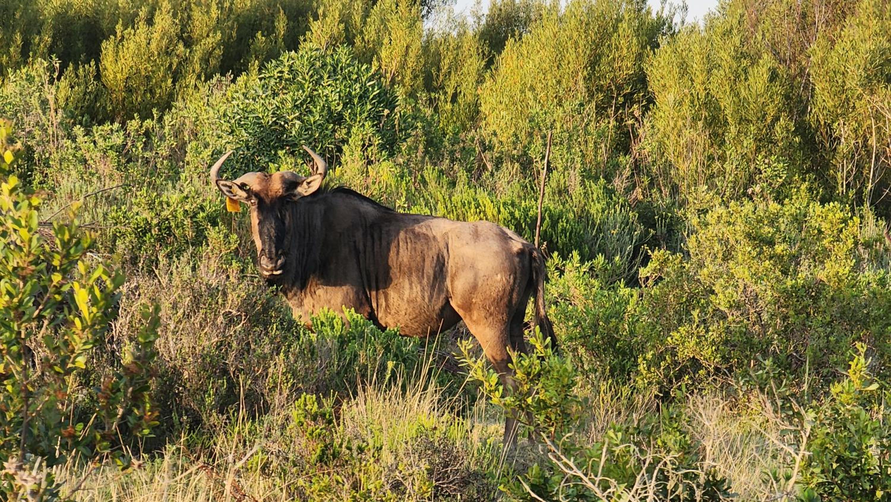 Fungamukaba Sanctuary view 4