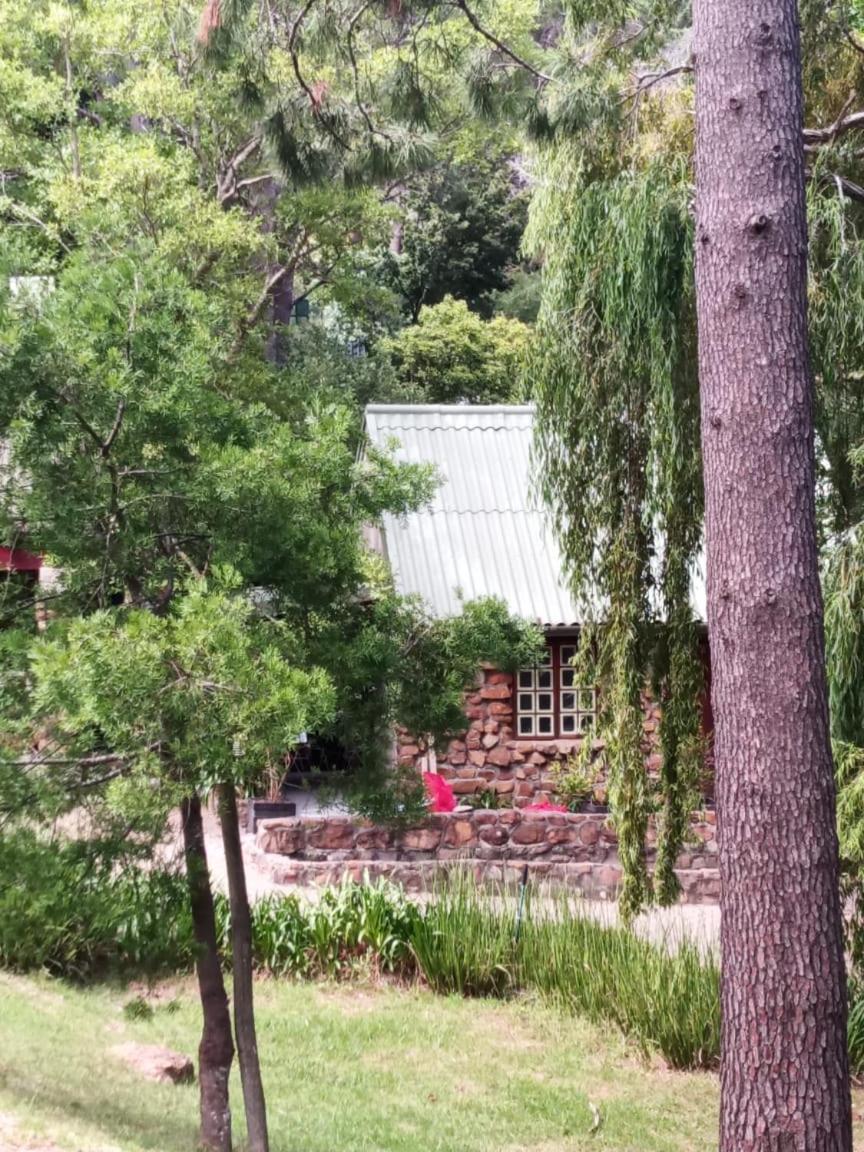 Houtkappers Cozy Cabin - Natural Beauty
