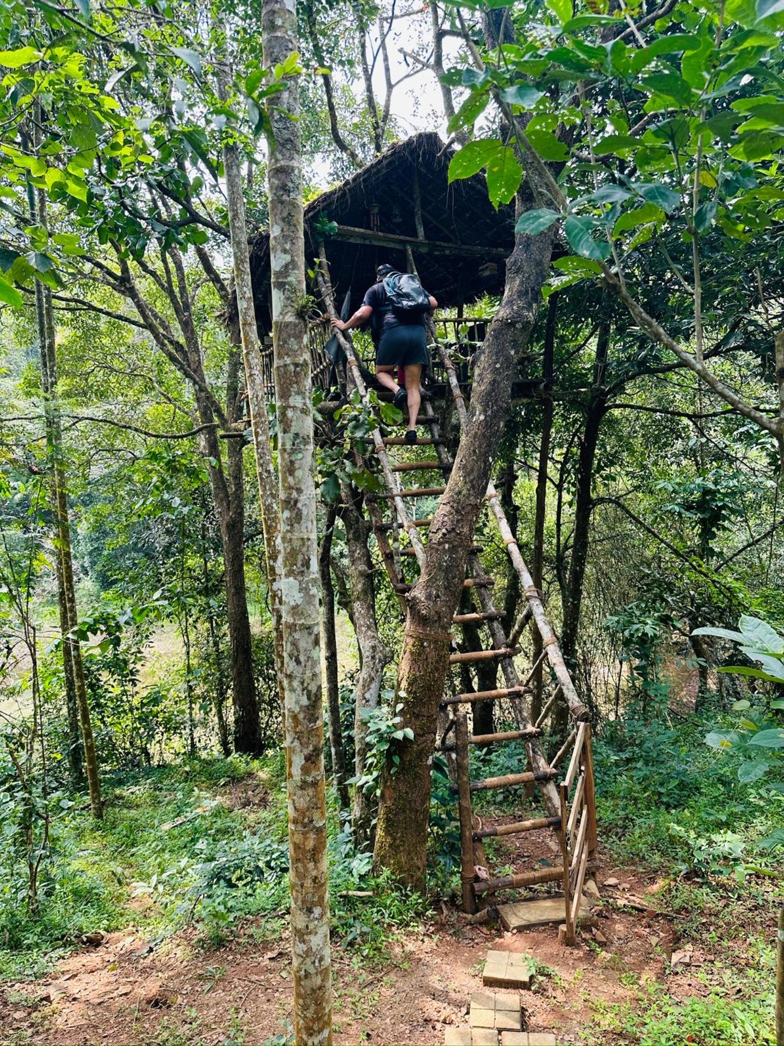 Drey at Druv Dakshin Farm Resort
