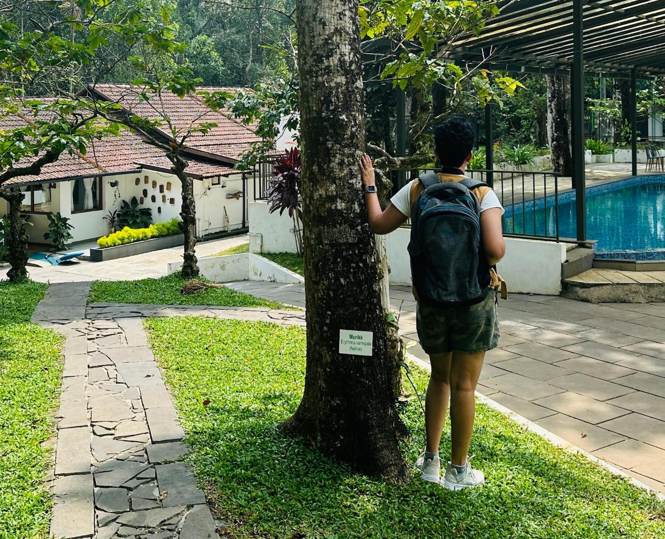 Drey at Druv Dakshin Farm Resort